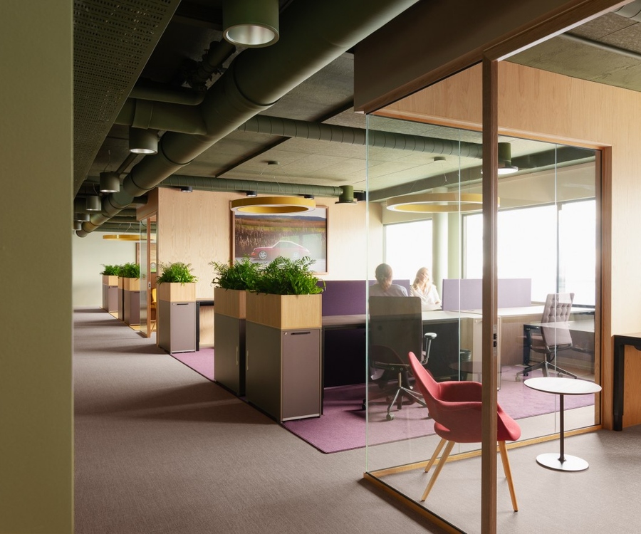 Colour to the people! MA people MAP Boutique Consultancy