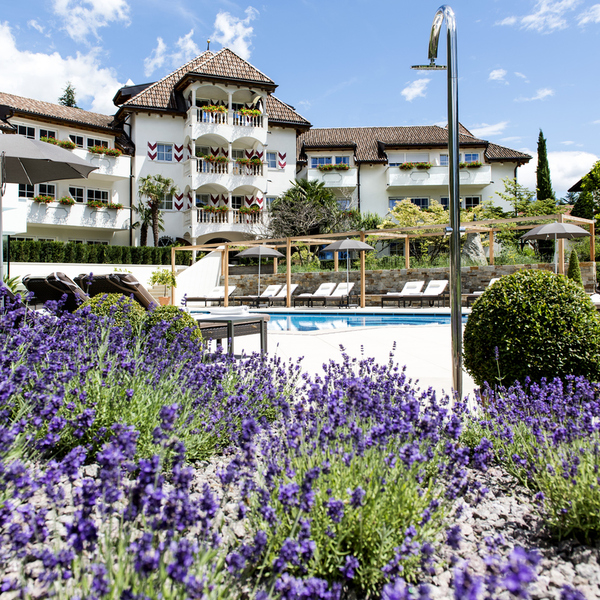Hotel Marketing Accelerator: An 8-week coaching programme to grow your hotel business and achieve (more) success